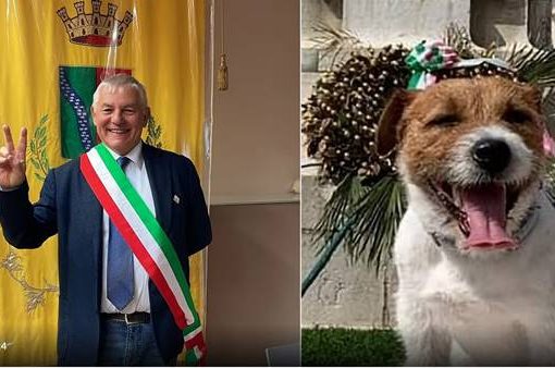 Veneto, sindaco eletto per pochi voti andati al suo cane: il Tar convalida Veneto, sindaco eletto per pochi voti andati al suo cane: il Tar convalida