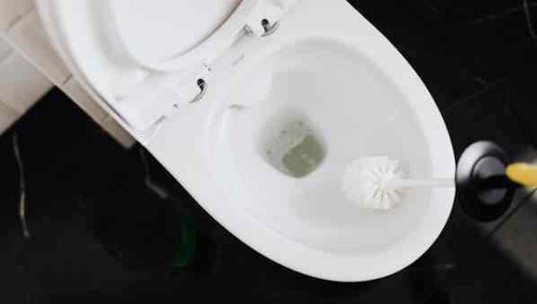 Sanzioni Russia: UE vieta importazione di WC, lavandini e bidet Sanzioni Russia: UE vieta importazione di WC, lavandini e bidet