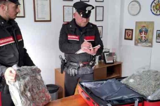 carabinieri droga sequestrata