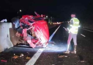 Cinghiale gli taglia la strada, muore medico di 44 anni