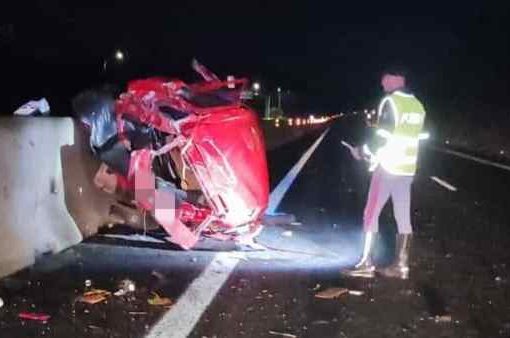 Cinghiale gli taglia la strada, muore medico di 44 anni