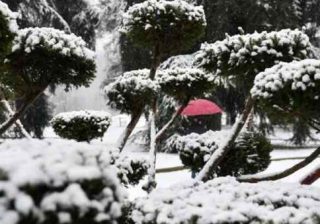 Nevica nel Bergamasco