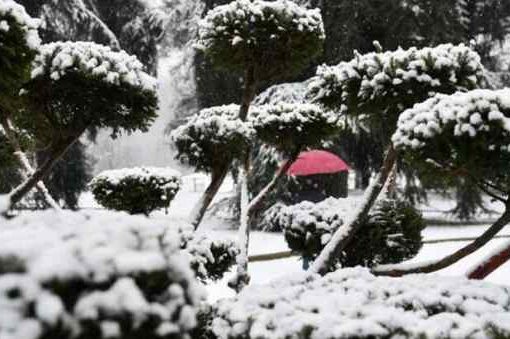 Nevica nel Bergamasco