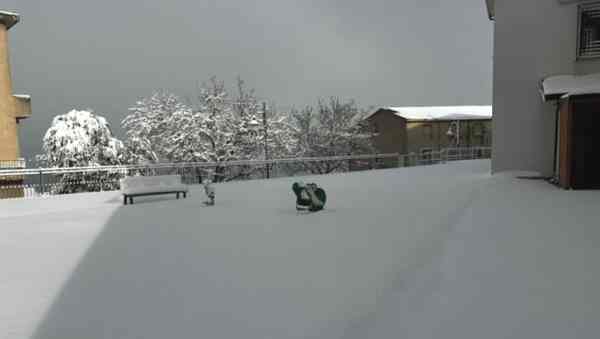 Copiosa nevicata in Sardegna, 50cm su Gennargentu e 20 nei paesi
