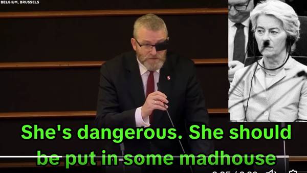 Eurodeputato polacco: ‘von der Leyen dovrebbe essere messa “in manicomio”‘ Eurodeputato polacco: ‘von der Leyen dovrebbe essere messa “in manicomio”‘