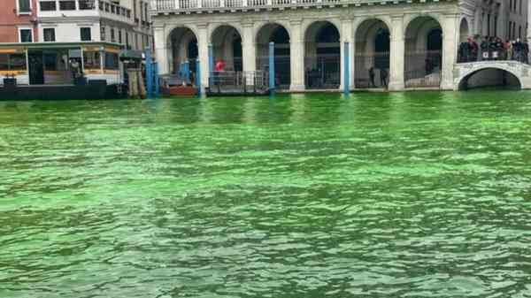 atto vandalico a venezia canal grande colorato di verde