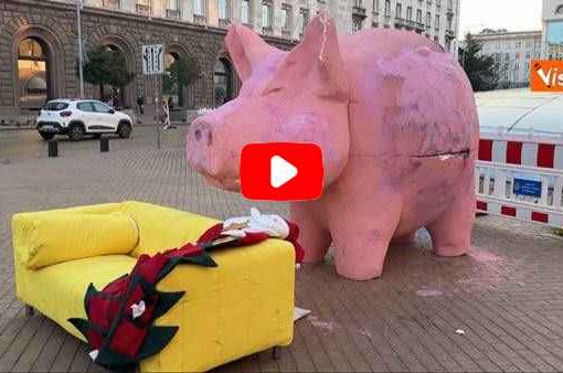 Sofia: enorme maiale in piazza