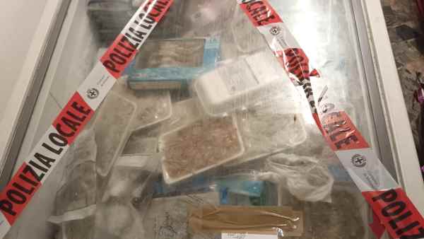 Ratti, blatte e quintali di carne avariata: chiuso market bengalese a Milano Ratti, blatte e quintali di carne avariata: chiuso market bengalese a Milano