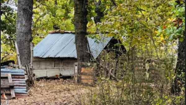 Famiglia nel bosco, altro caso ad Arezzo: bimbi strappati ai genitori da un mese e mezzo