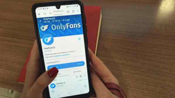 Tassa “etica” sul porno anche ai forfettari