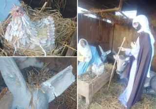 presepe vandaliazzato Cilavegna