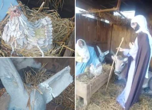 presepe vandaliazzato Cilavegna