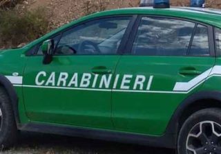 carabinieri forestale
