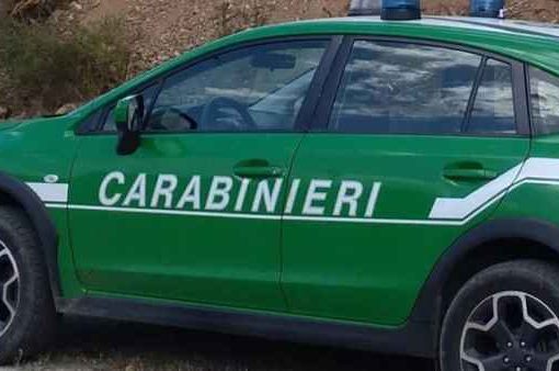 carabinieri forestale