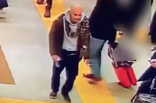 Jelenic Marin 36enne di origini croate