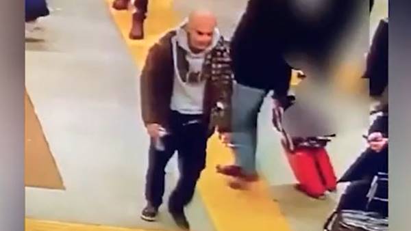 Jelenic Marin 36enne di origini croate