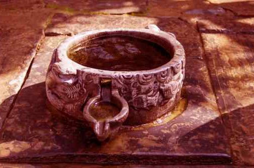 Avvelenamento del pozzo