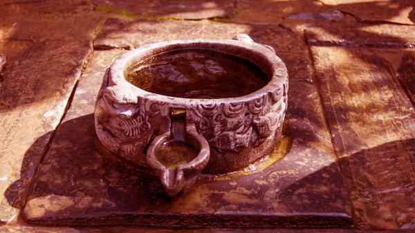 Avvelenamento del pozzo