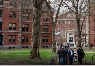 Università di Harvard,