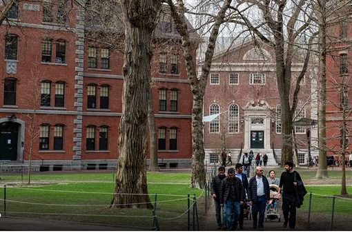 Università di Harvard,