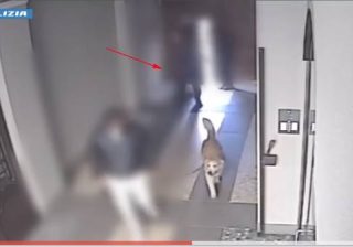 Milano, rapina di orologio