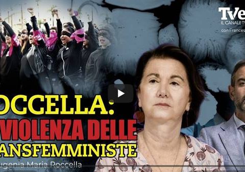 transfemministe violente