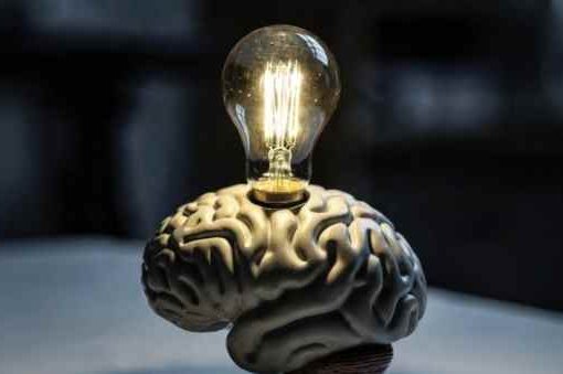 La cultura spegne i cervelli