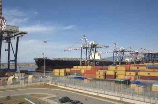 container Gioia Tauro