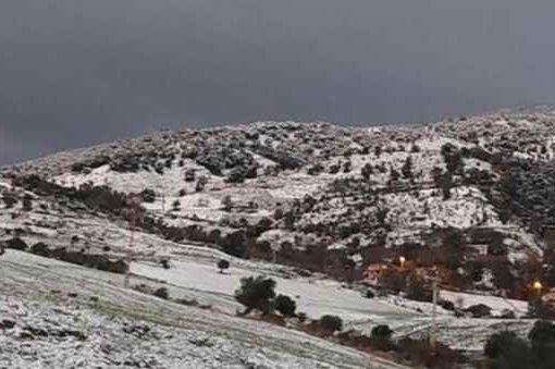 neve in Algeria