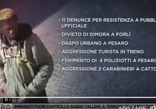 curriculum criminale di Babu Yallow