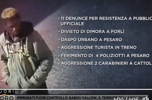 curriculum criminale di Babu Yallow