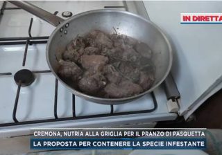 nutrie alla griglia o in umido