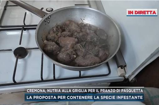 nutrie alla griglia o in umido