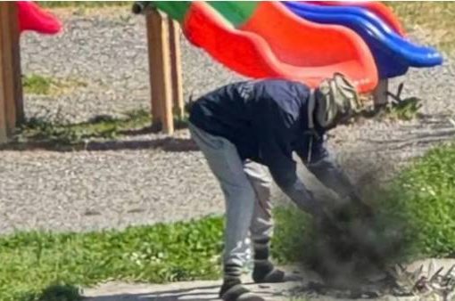 Sarzana, uccide un gatto e lo cucina