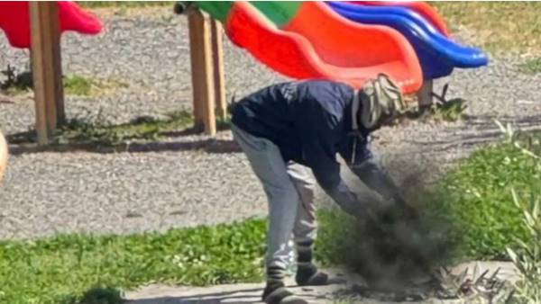 Sarzana, uccide un gatto e lo cucina