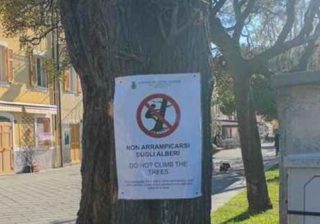 Sestri Levante, nuova ordinanza: vietato arrampicarsi sugli alberi