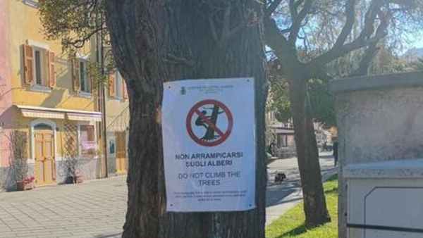 Sestri Levante, nuova ordinanza: vietato arrampicarsi sugli alberi
