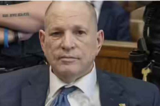 Harvey Weinstein