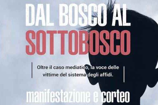 Figli sottratti, si continua a manifestare: il 6 giugno a Rimini