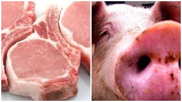 carne di maiale