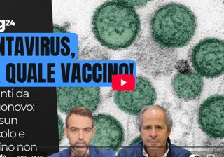 Crisanti hantavirus
