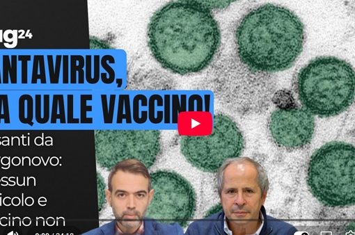 Crisanti hantavirus