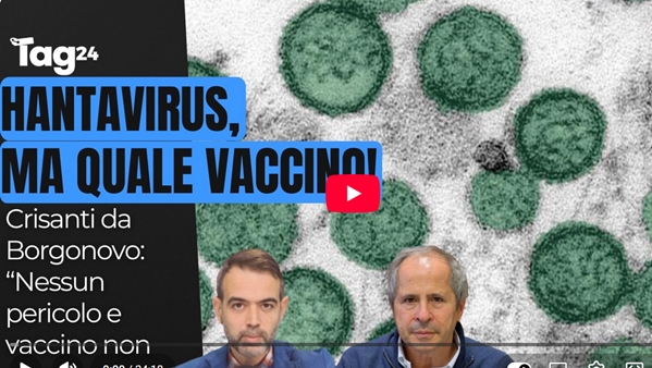 Crisanti hantavirus