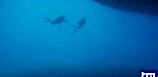 sub Maldive