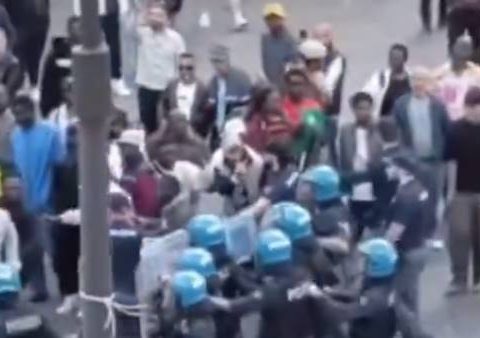 rissa tra stranieri