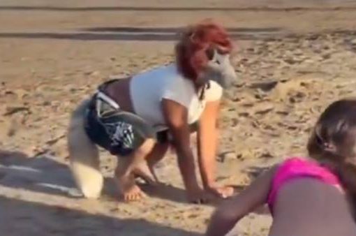 Si identifica con un animale