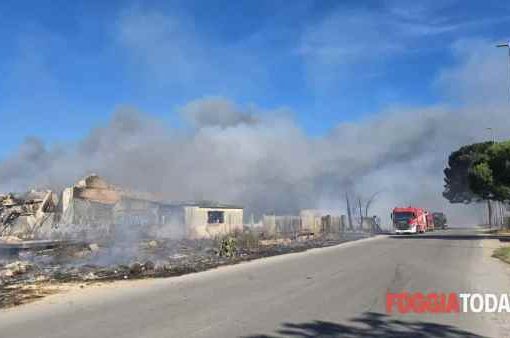 Foggia incendio di rifiuti