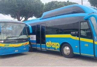 bus Atap