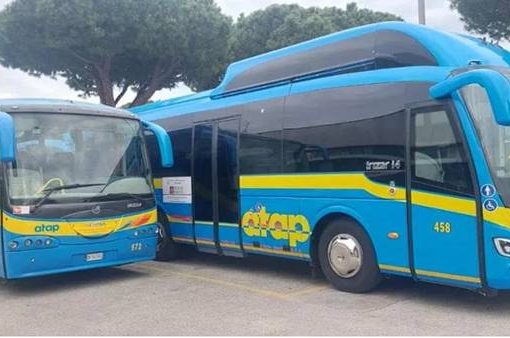 bus Atap