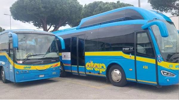 bus Atap